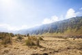 The beauty of Teletubbies Hill, a vast savanna landscape, one of the tourist destinations in the Bromo Mountain, Indonesia.