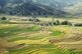 Beauty of the terraced fields Royalty Free Stock Photo