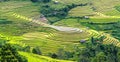 Beauty of terracing Northwest Vietnam