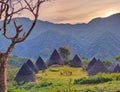 the beauty of the traditional village of Wae Rebo, Flores, Indonesia.
