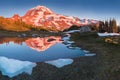 The beauty & tranquility of a summer evening at Mount Rainier National Park. Tall evergreen trees that line an alpine lake & blue Royalty Free Stock Photo