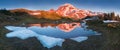 The beauty & tranquility of a summer evening at Mount Rainier National Park. Cascade mountains, Washington State, USA. Royalty Free Stock Photo