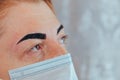 Beauty treatment. Correction and coloring of the eyebrows with henna, shaping the eyebrows. Selective focus Royalty Free Stock Photo