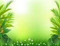 Beauty tropical forest background Royalty Free Stock Photo