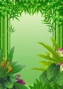 Beauty tropical forest background Royalty Free Stock Photo