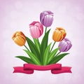Beauty tulips flower ribbon ornament
