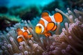 The beauty under the sea, a school of clownfish.Generate AI