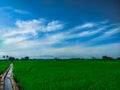 The beauty of vast expanses of rice fields before your eyes