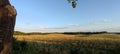 Beauty view of field Poland Royalty Free Stock Photo