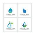 Beauty water logo template