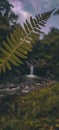 The beauty of a waterfall hidden in a tropical forest Royalty Free Stock Photo