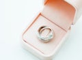 The beauty wedding rings Royalty Free Stock Photo