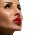 Beauty Woman Portrait. Professional Makeup for Brunette Royalty Free Stock Photo