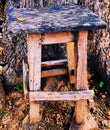 Beauty of Wood stool image