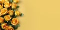 Beauty yellow rose flower, garden decoration, copy space blurred background Royalty Free Stock Photo