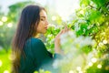 Beauty young woman enjoying nature in spring apple orchard, Happy beautiful girl in a garden with blooming fruit trees Royalty Free Stock Photo