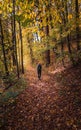 Beauty young woman in hoodie with backpack walking on forest autumn path. Czech landscape Royalty Free Stock Photo