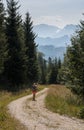 Beauty young woman walking, hiking on Austria Alps mountain path landscape Royalty Free Stock Photo