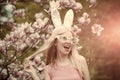 Beauty, youth and freshness in spring, easter. Royalty Free Stock Photo