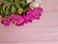 beauty flowers fresh peonies on a pink wooden background, summer frame Royalty Free Stock Photo