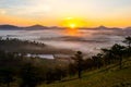 Da lat, lam dong, viet nam- feb 12, 2017: beautyful landscape of da lat city, a small vietnamese pagoda in fog and the pine hill Royalty Free Stock Photo