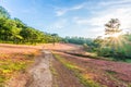 Da lat, lam dong, viet nam- feb 12, 2017: beautyful landscape of da lat city, a small vietnamese pagoda in fog and the pine hill Royalty Free Stock Photo