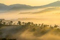 Da lat, lam dong, viet nam- feb 12, 2017: beautyful landscape of da lat city, a small vietnamese pagoda in fog and the pine hill Royalty Free Stock Photo