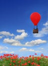 Beautyful red poppy field and blue sky, floating hot-air balloon Royalty Free Stock Photo