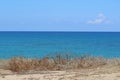 Beautyful sea background with dry grass on sandy ground, blue sea and cloudy sky Royalty Free Stock Photo