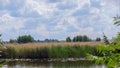 Beautyful view of river reeds and cloudy sky. Latvian summer in august .beautiful cloudy sky Royalty Free Stock Photo