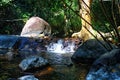 Beautyful waterfall in the forest