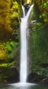 Beautyful waterfall. Madeira Island