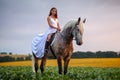 Beautyful woman with horse on nature