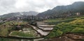 Beauutifull landscape ricefield green west sumatera sky field