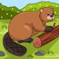 Beaver Cartoon Colored Animal Illustration