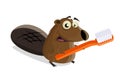 Cartoon beaver with toothbrush