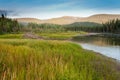 Beaver Castor canadensis lodge in taiga wetlands Royalty Free Stock Photo