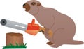 Beaver with chainsaw