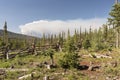 Beaver Creek Fire in North Central Colorado Royalty Free Stock Photo