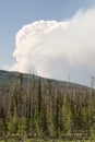 Beaver Creek Fire in North Central Colorado Royalty Free Stock Photo