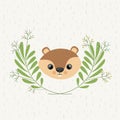 Beaver cute wildlife icon