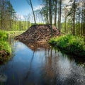 beaver dam, AI generated Royalty Free Stock Photo