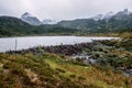 Beaver dam in Dientes de Navarino, Patagonia, Chile Royalty Free Stock Photo