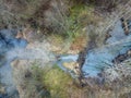 Beaver dam on forest river at early spring time, drone view. Stream, treetops, wetland. Aerial landscape