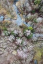 Beaver dam on forest river at early spring time, drone view. Stream, treetops, wetland. Aerial landscape