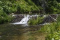 Beaver Dam on Huntington Creek in Emery County Utah Royalty Free Stock Photo