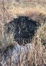 Beaver Dam Marsh Pond LTPBR