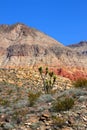 Beaver Dam Mountains Wilderness Area