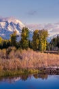 Beaver Dam near Schwabachers Landing Royalty Free Stock Photo