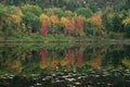 Beaver dam pond Royalty Free Stock Photo